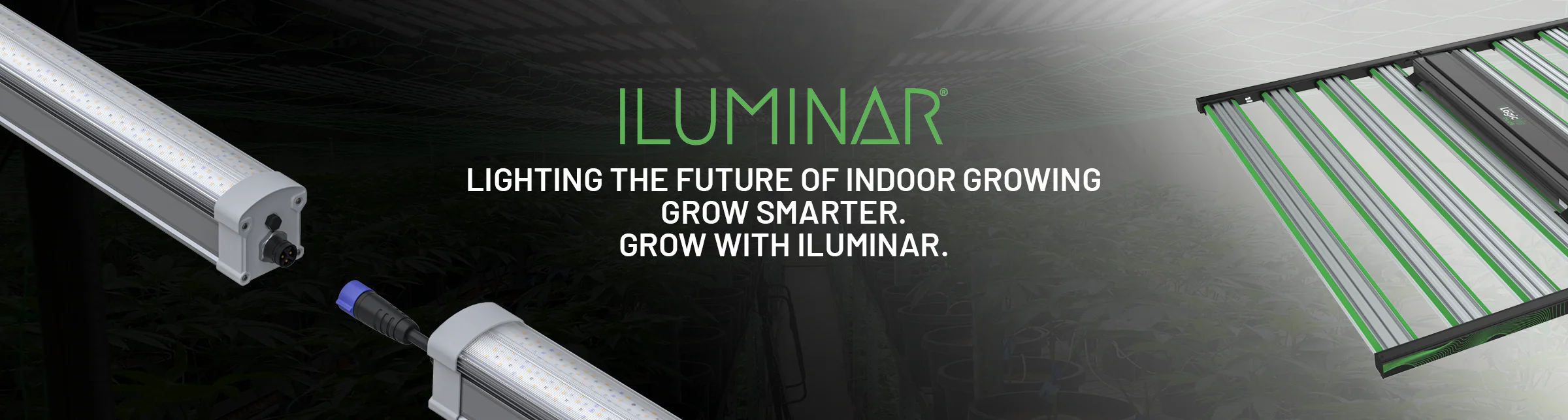 Cultivate Excellence with Hydrobuilder